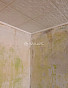 1-Комнатная квартира 30.40м², эт. 3, фото 2