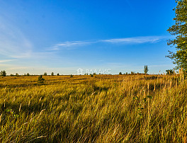Земельный участок 1700.00 соток