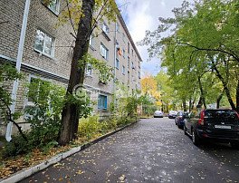 1-комнатная квартира, 18.8 м2