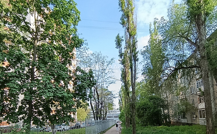 3-Комнатная квартира 54.00м², эт. 2, фото 28