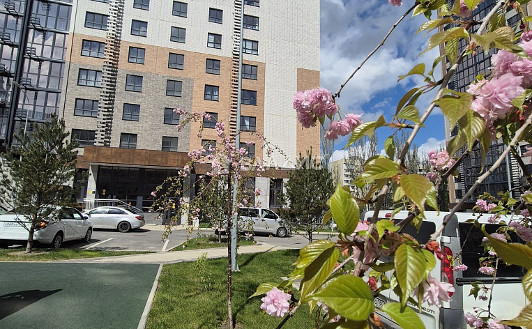 1-Комнатная квартира 35.50м², эт. 4, фото 18