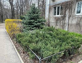 3-комнатная квартира, 67.3 м2