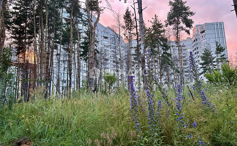 1-Комнатная квартира 41.80м², эт. 12, фото 15