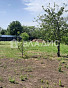 Земельный участок 15.00 соток, фото 3