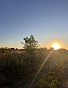 Земельный участок 9.00 соток, фото 2