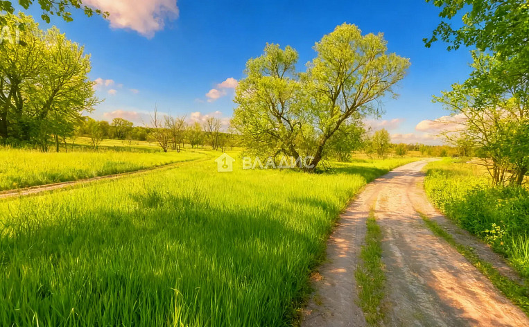 Земельный участок 7.00 соток, фото 2