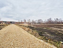 Участок 6 сотка