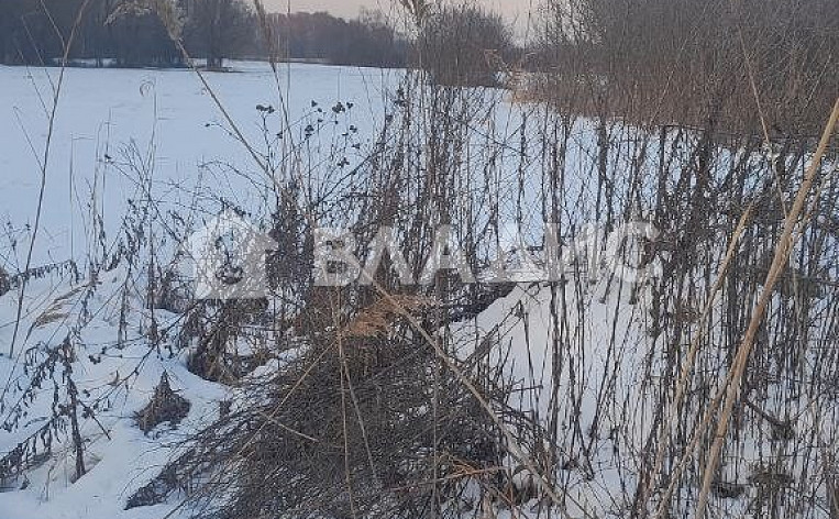 Земельный участок 40.00 соток, фото 5