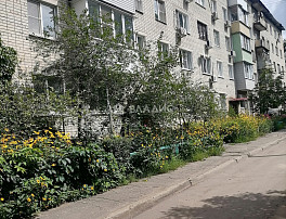 2-Комнатная квартира 46.50м²