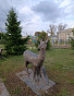 Дом 78.50м², фото 19