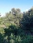 Участок 6 сотка, id: 951661, фото 9