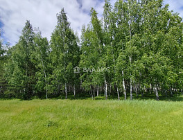 Дом 54.60м²