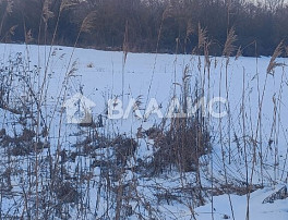 Земельный участок 40.00 соток