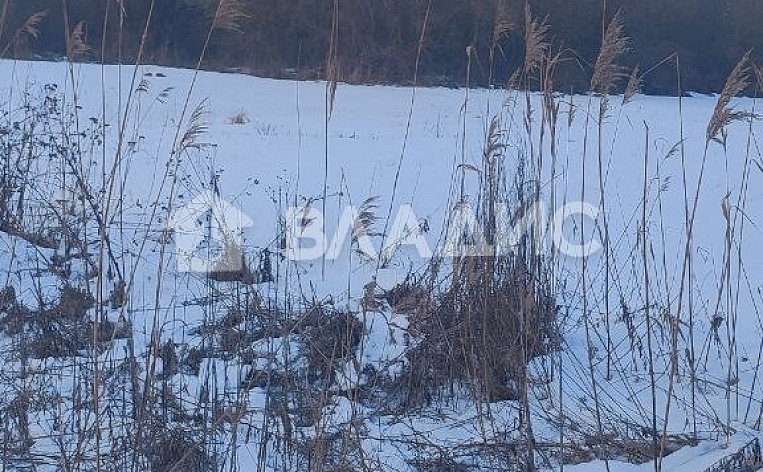 Земельный участок 40.00 соток, фото 5