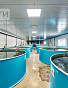 Коммерческое помещение 4422.40м², эт. 1, фото 16