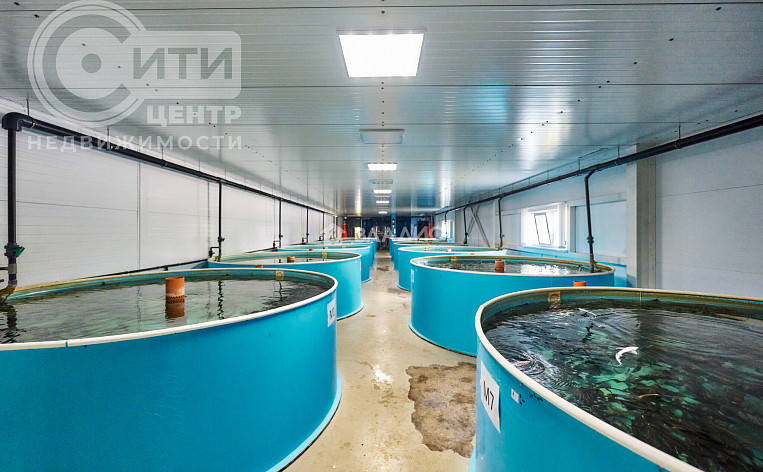 Коммерческое помещение 4422.40м², эт. 1, фото 34