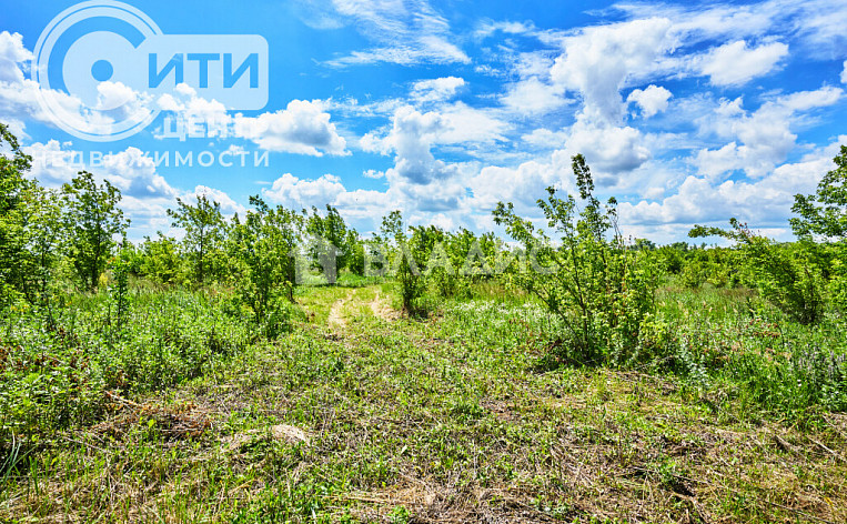 Земельный участок 290.00 соток, фото 8
