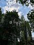 1-Комнатная квартира 30.90м², эт. 4, фото 12