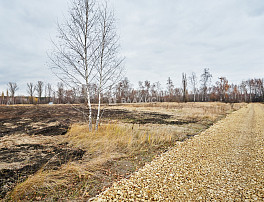 Земельный участок 6.00 соток