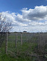 Земельный участок 12.00 соток, фото 5