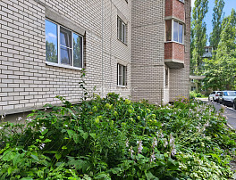 1-Комнатная квартира 47.10м²