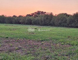 Участок 100 сотка