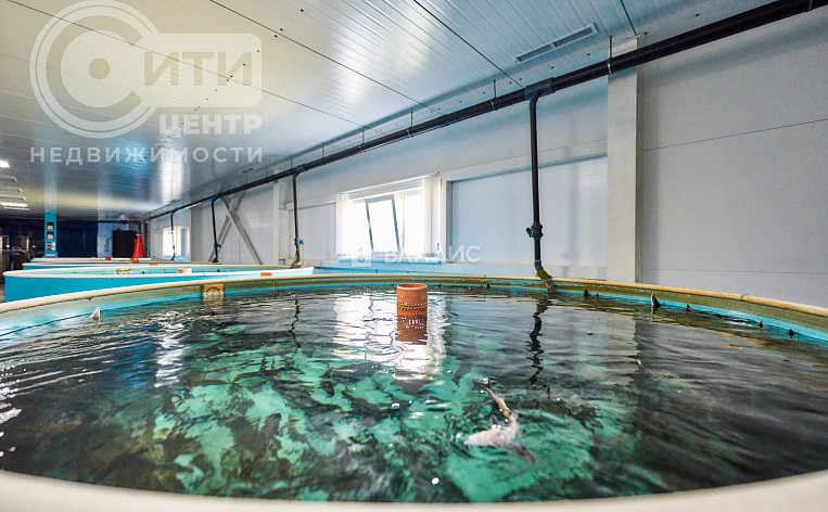 Коммерческое помещение 4422.40м², эт. 1, фото 34