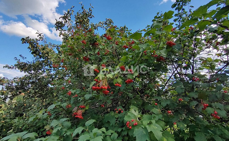 Земельный участок 6.00 соток, фото 20