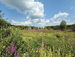 Земельный участок 80.00 соток