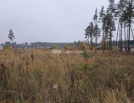 Участок 8 сотка