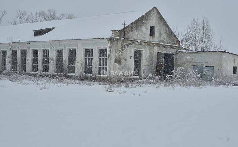 Земельный участок 245.36 соток, фото 3