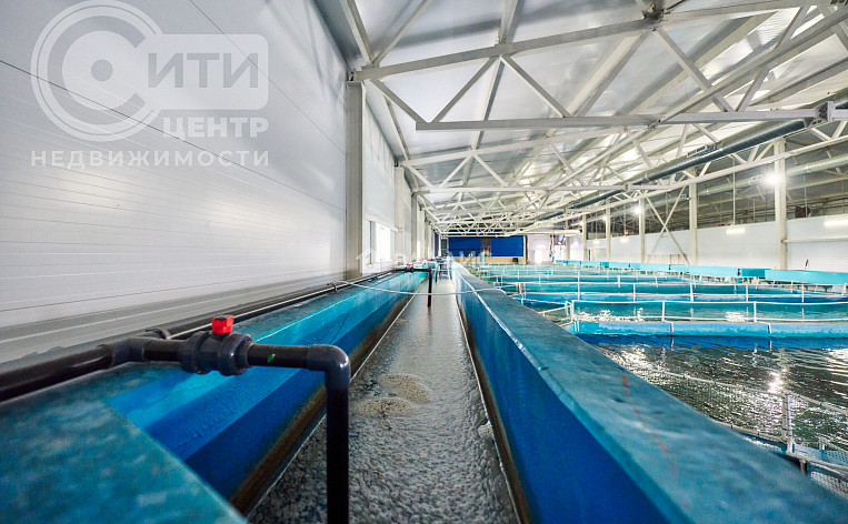 Коммерческое помещение 4422.40м², эт. 1, фото 34
