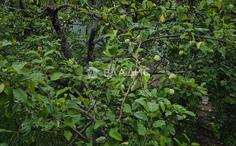 Дом 88.50м², фото 21