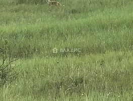 Земельный участок 12.98 соток