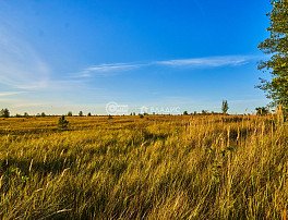 коммерческая