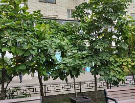 2-комнатная квартира, 47 м2