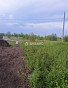 Земельный участок 12.56 соток, фото 6