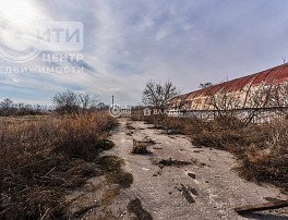 коммерческая