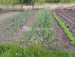 Участок 12 сотка