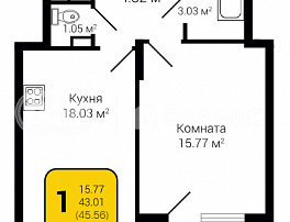 1-комнатная квартира, 45.56 м2