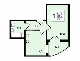 1-комнатная квартира, 43.1 м2