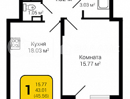 1-комнатная квартира, 45.56 м2