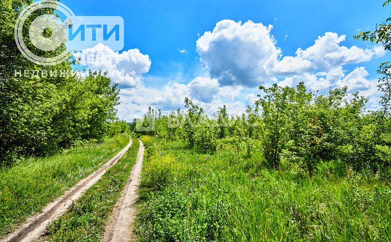 Земельный участок 10.20 соток, фото 3