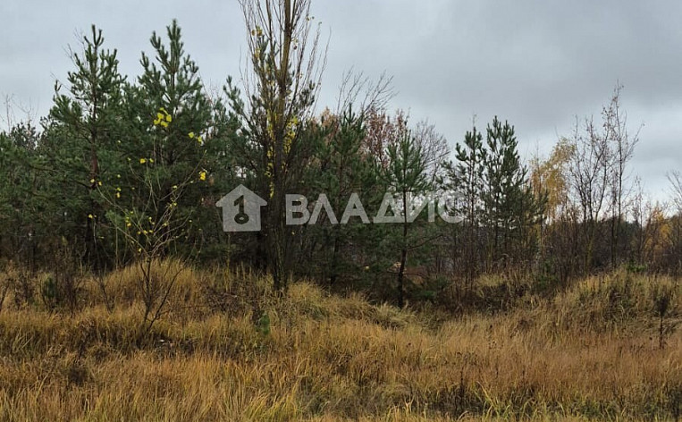 Земельный участок 8.00 соток, фото 6