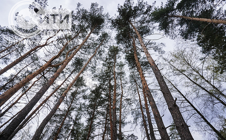 1-Комнатная квартира 38.60м², эт. 1, фото 14