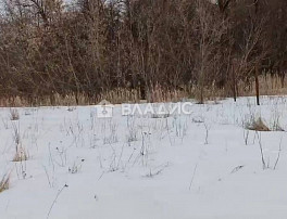 Земельный участок 10.00 соток