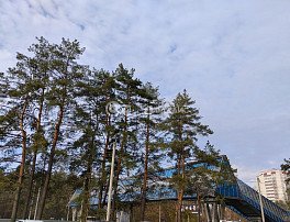 1-комнатная квартира, 38 м2