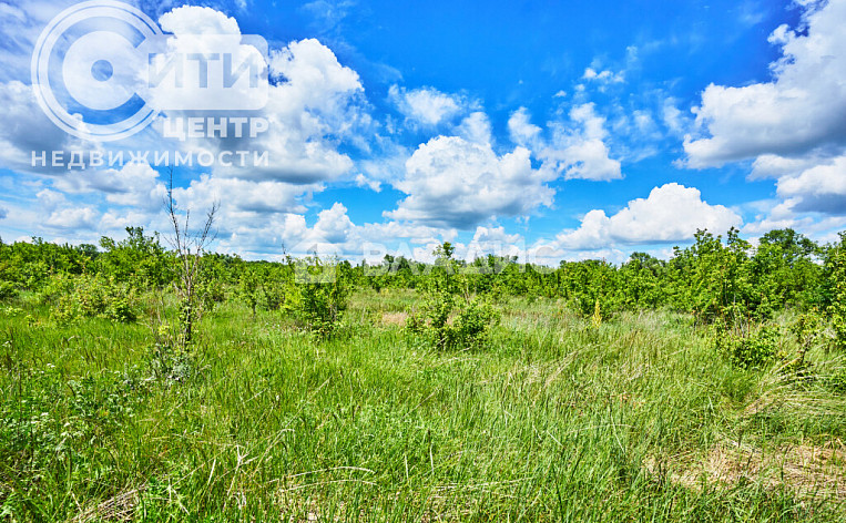 Земельный участок 10.20 соток, фото 3