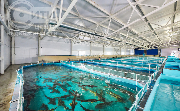 Коммерческое помещение 4422.40м², эт. 1, фото 34