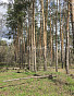 1-Комнатная квартира 39.76м², эт. 1, фото 39